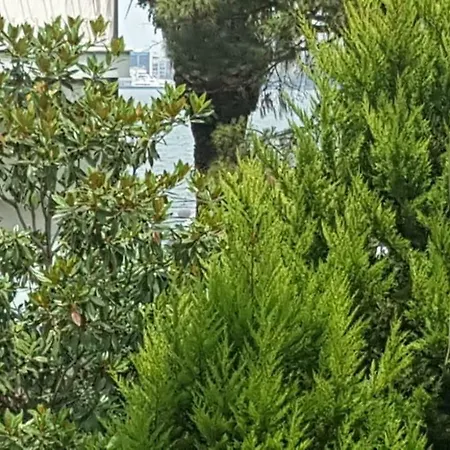 Simapart Sehra Izmir